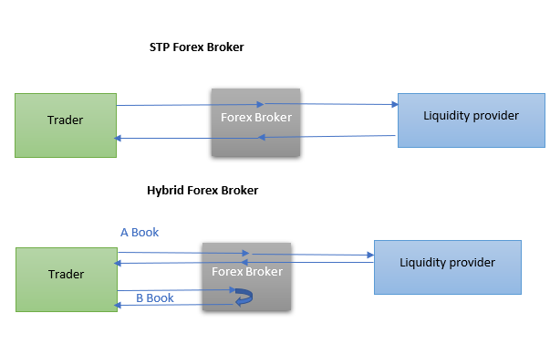 STP and Hybrid Forex Brokers